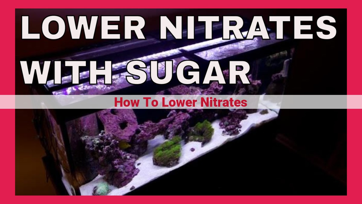 how to lower nitrates