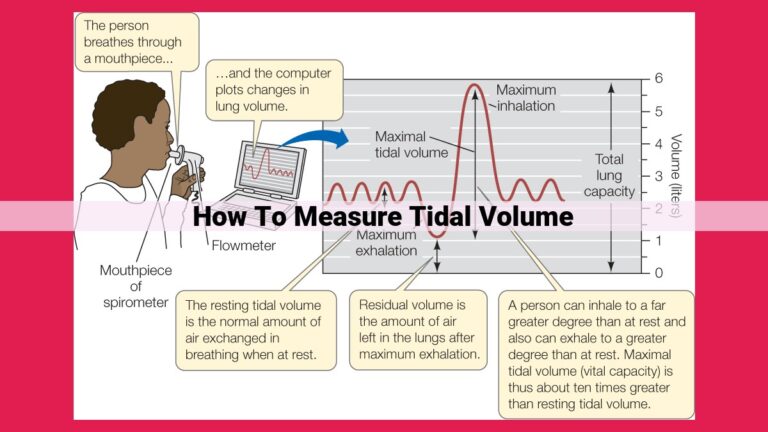 how to measure tidal volume