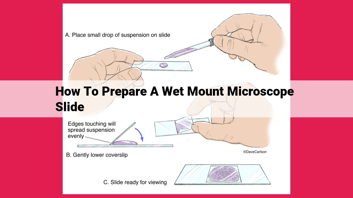 how to prepare a wet mount microscope slide