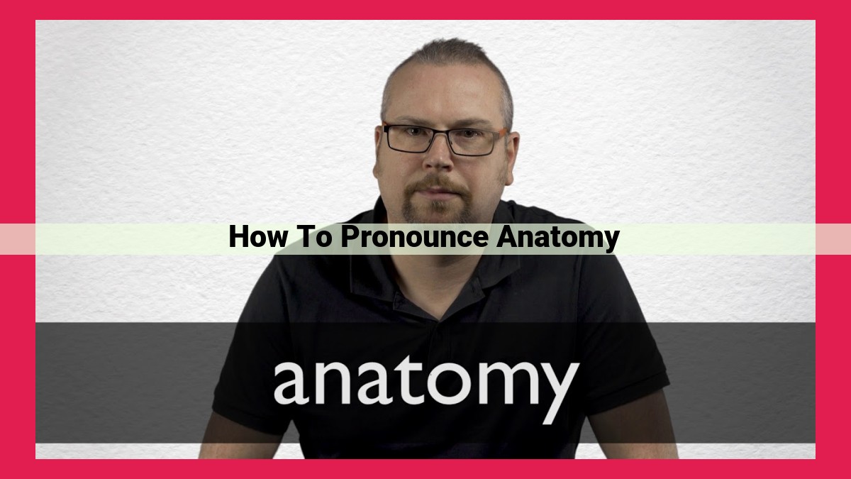 how to pronounce anatomy