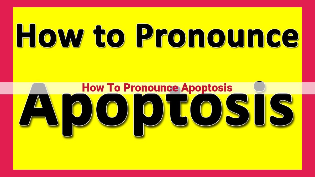 how to pronounce apoptosis