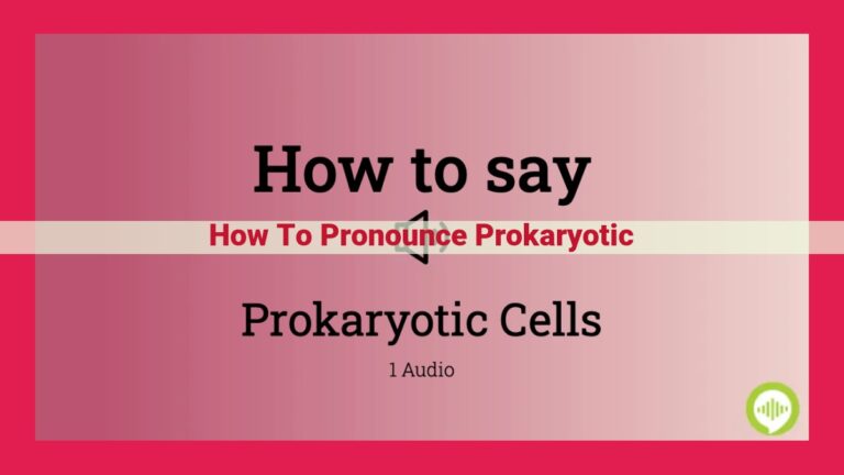 how to pronounce prokaryotic