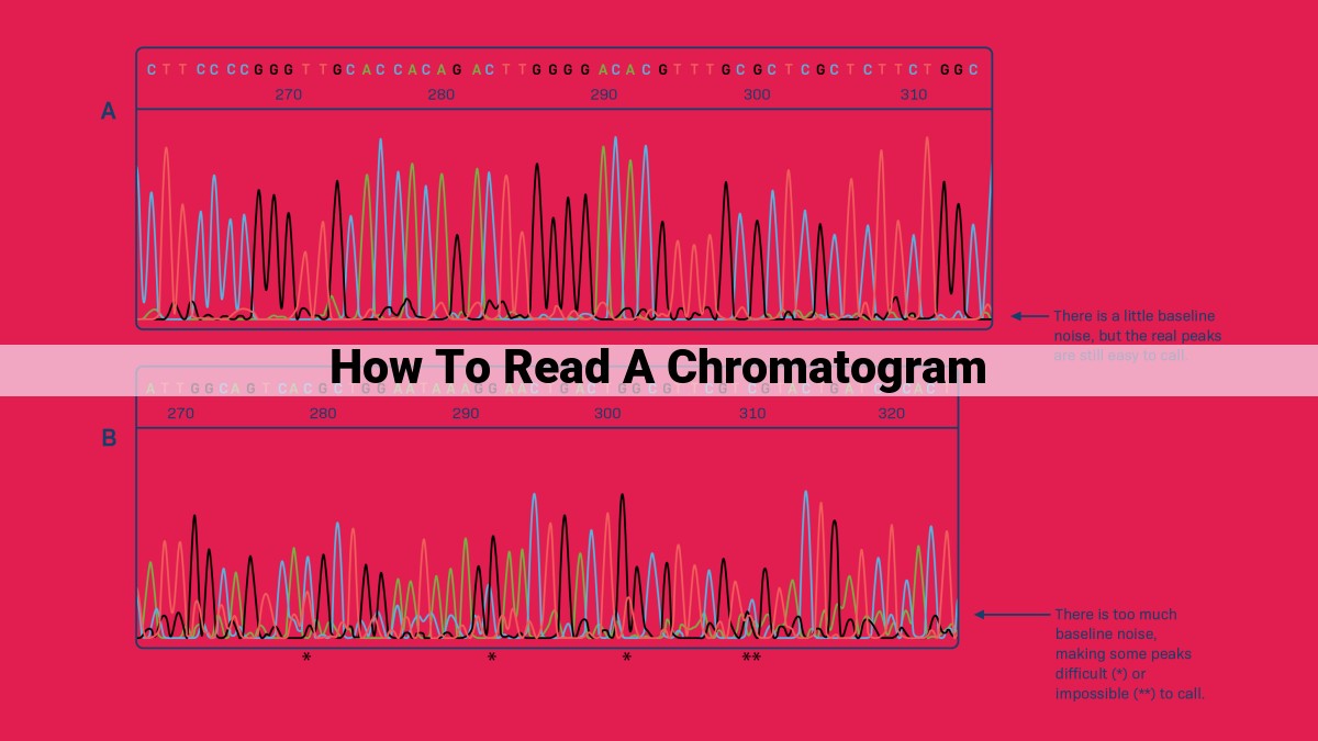 how to read a chromatogram