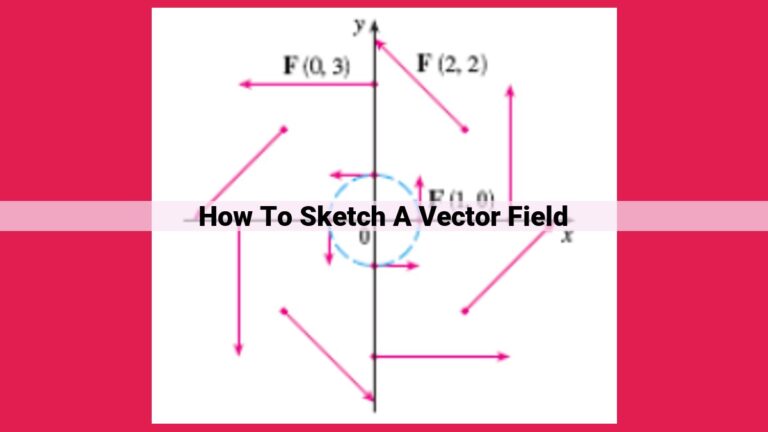 how to sketch a vector field