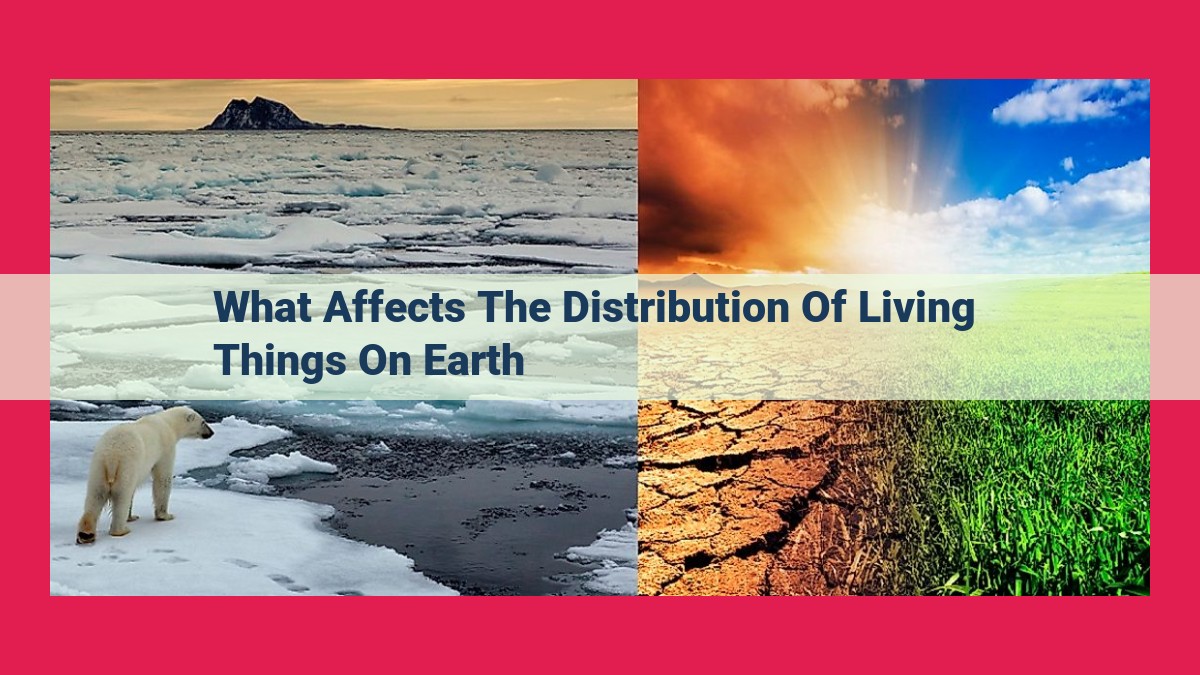 what affects the distribution of living things on earth