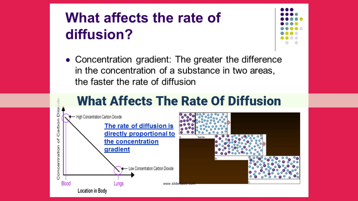 what affects the rate of diffusion