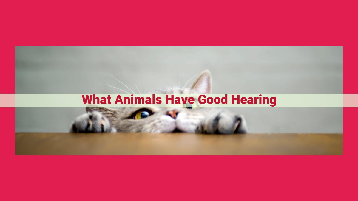 what animals have good hearing