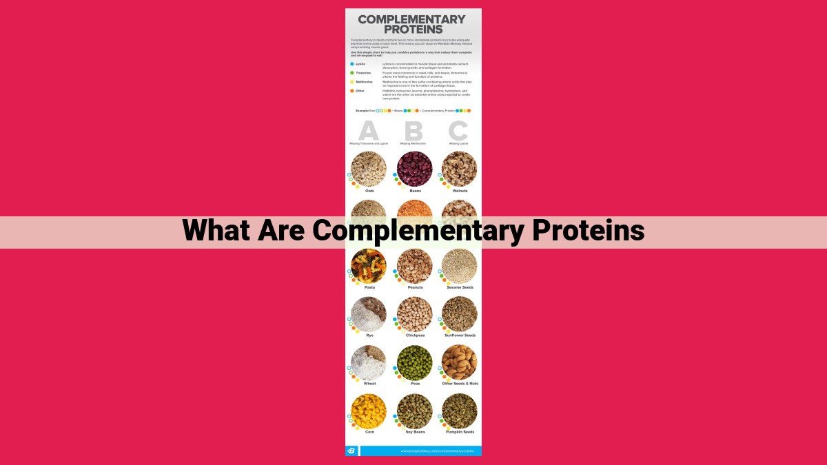 what are complementary proteins