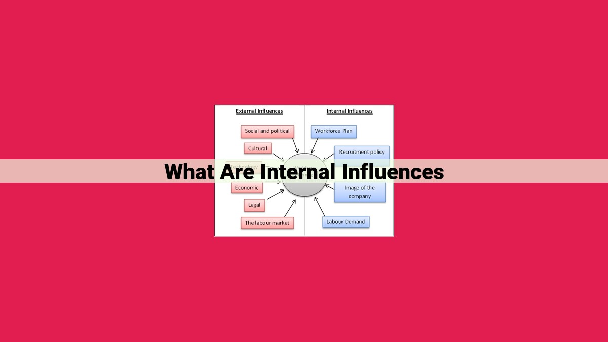 what are internal influences