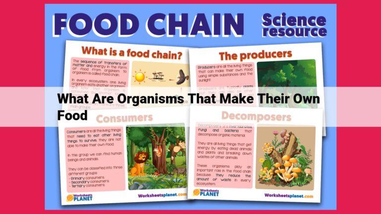 what are organisms that make their own food