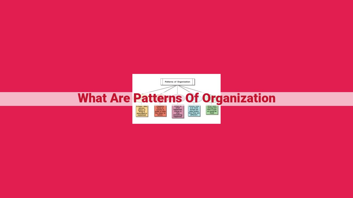 what are patterns of organization