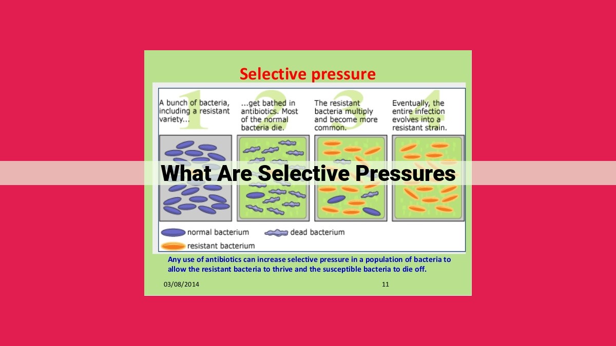 what are selective pressures