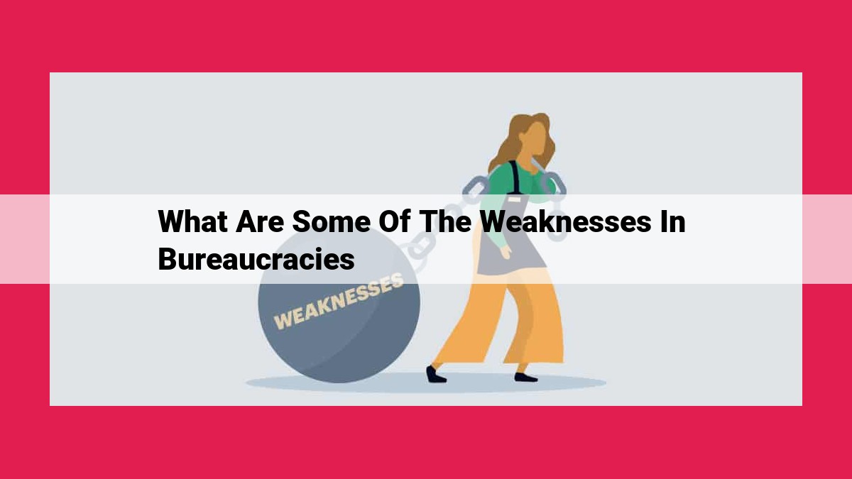 what are some of the weaknesses in bureaucracies