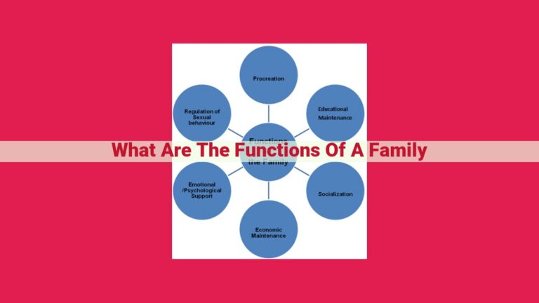 what are the functions of a family