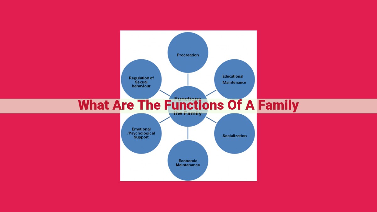 what are the functions of a family