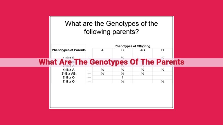 what are the genotypes of the parents