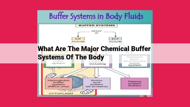 what are the major chemical buffer systems of the body