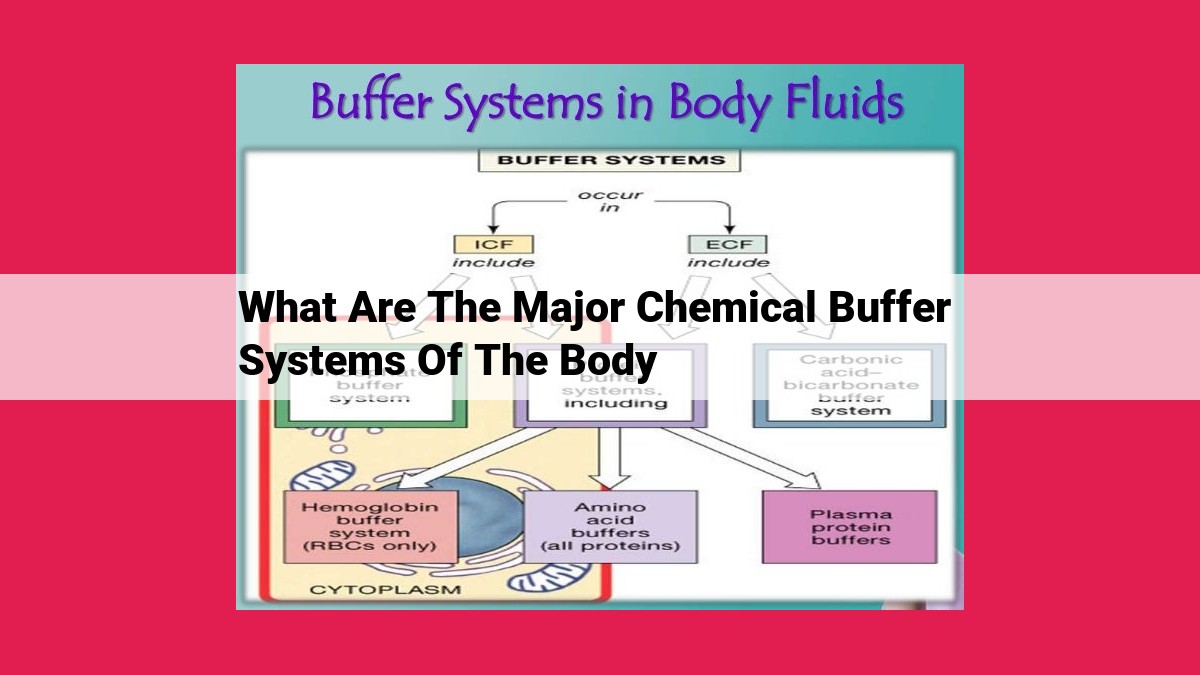 what are the major chemical buffer systems of the body