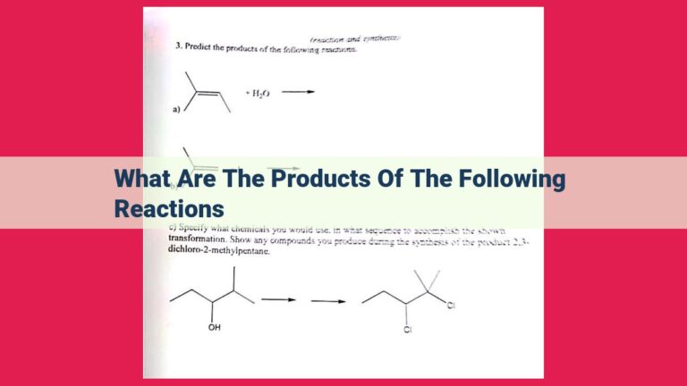 what are the products of the following reactions