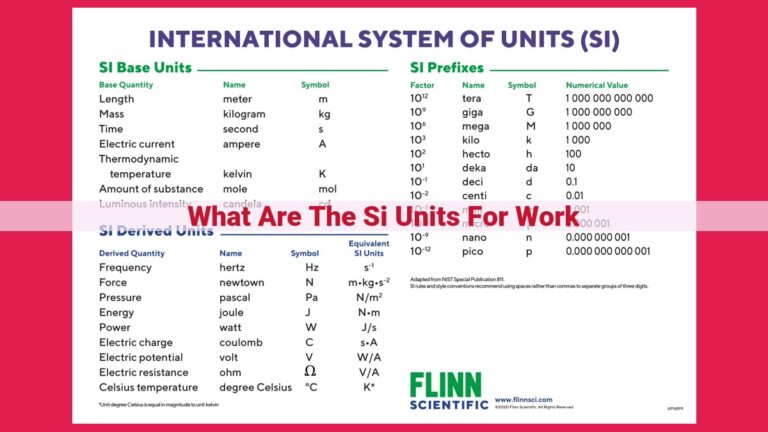 what are the si units for work