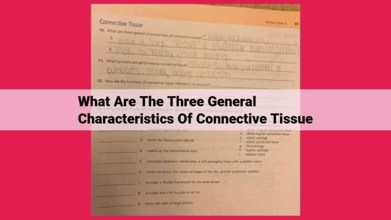 what are the three general characteristics of connective tissue