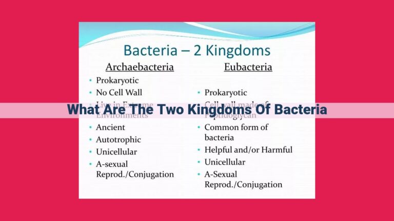 what are the two kingdoms of bacteria