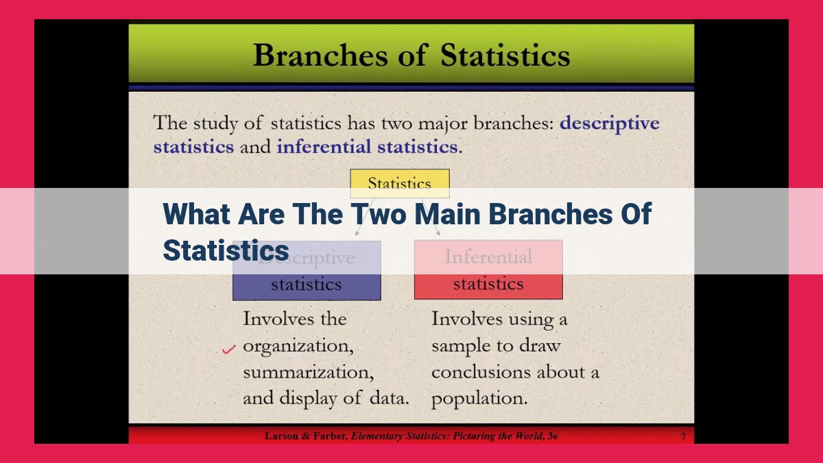 what are the two main branches of statistics