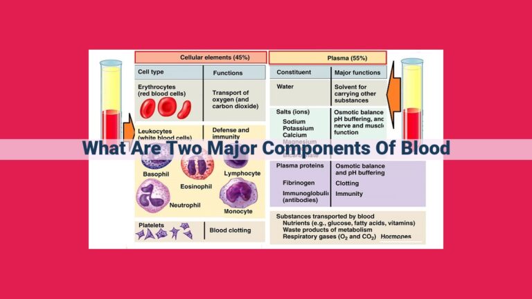 what are two major components of blood