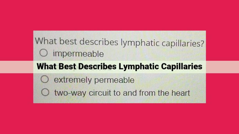 what best describes lymphatic capillaries