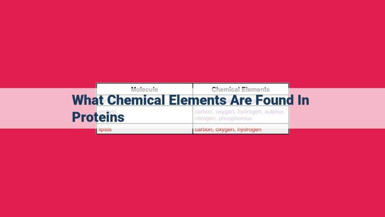 what chemical elements are found in proteins