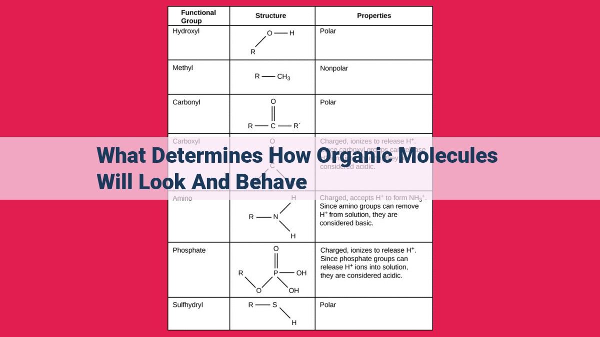 what determines how organic molecules will look and behave