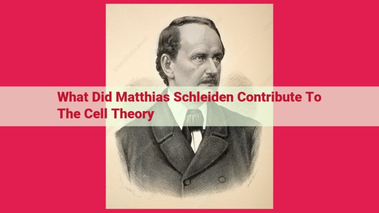 what did matthias schleiden contribute to the cell theory