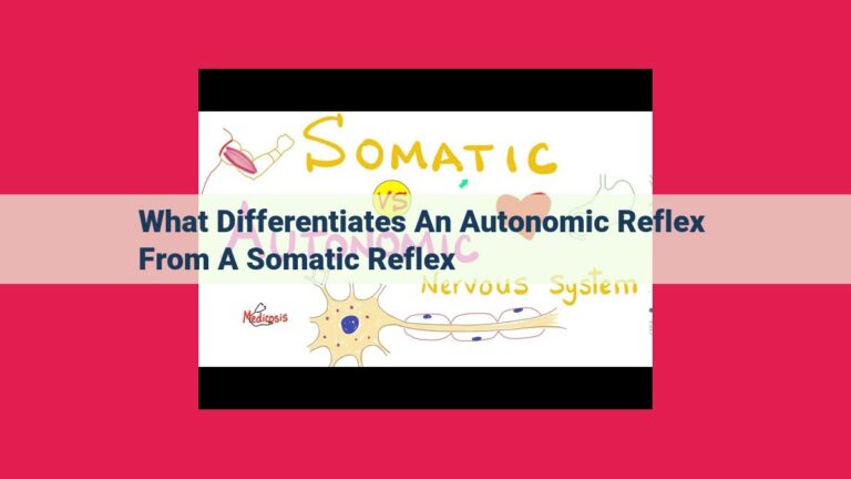 what differentiates an autonomic reflex from a somatic reflex