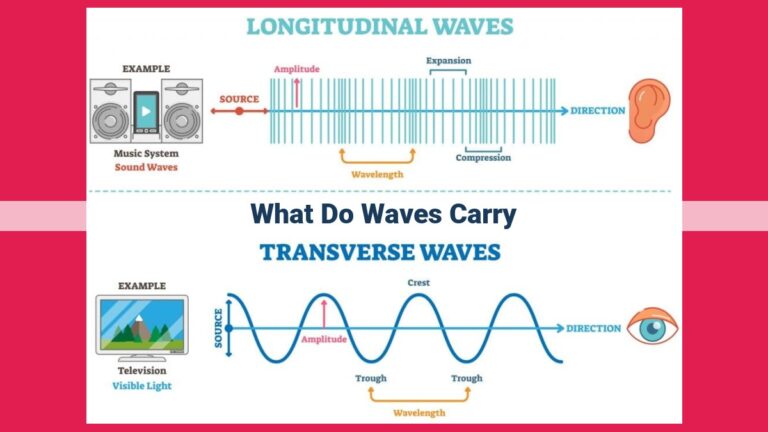 what do waves carry