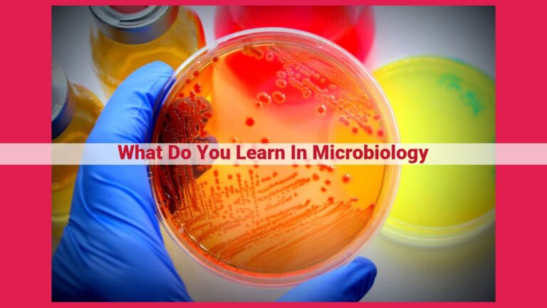 what do you learn in microbiology