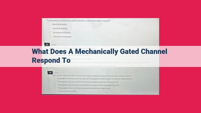 what does a mechanically gated channel respond to