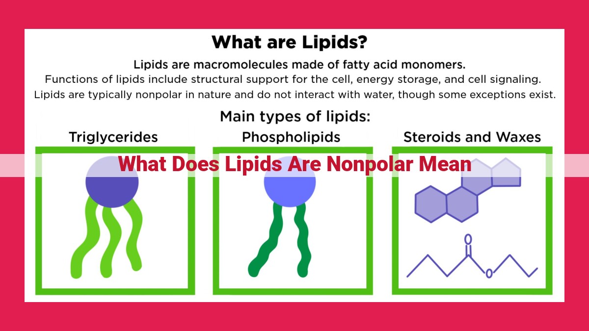 what does lipids are nonpolar mean