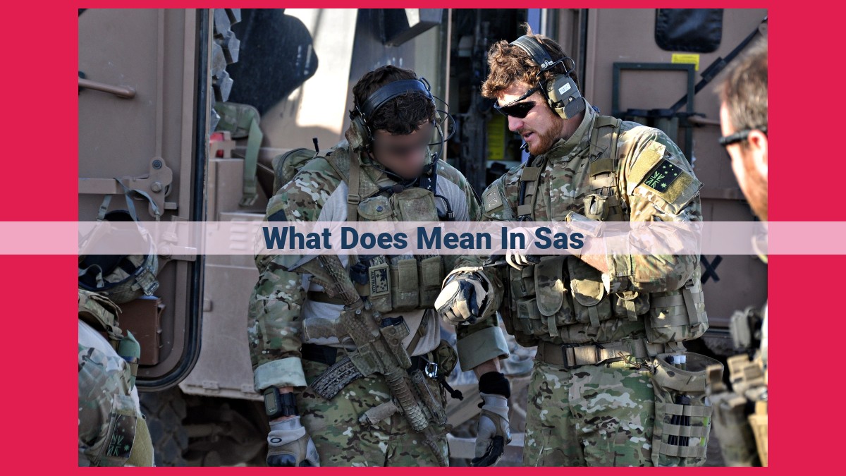 what does mean in sas