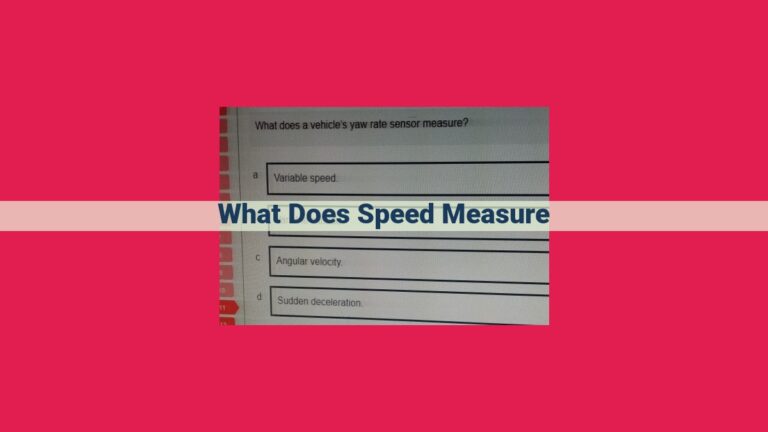 what does speed measure