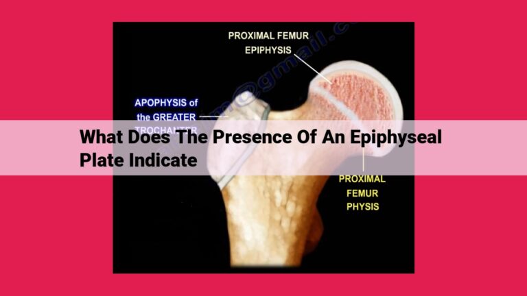 what does the presence of an epiphyseal plate indicate