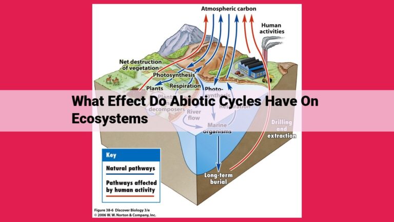 what effect do abiotic cycles have on ecosystems