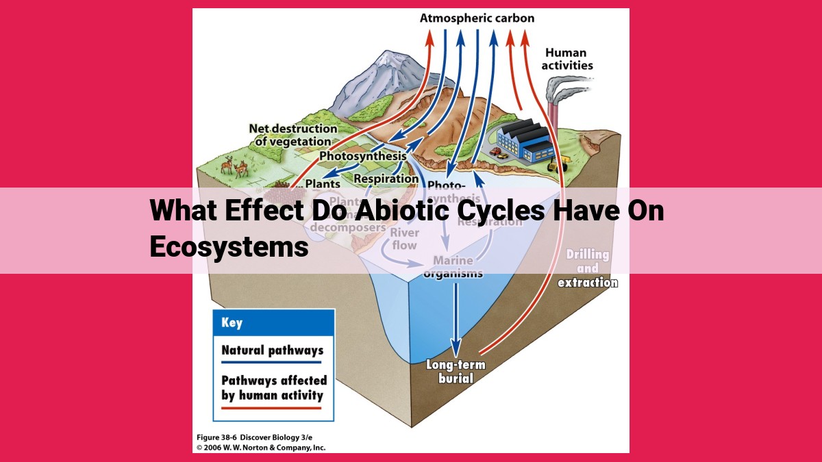 what effect do abiotic cycles have on ecosystems