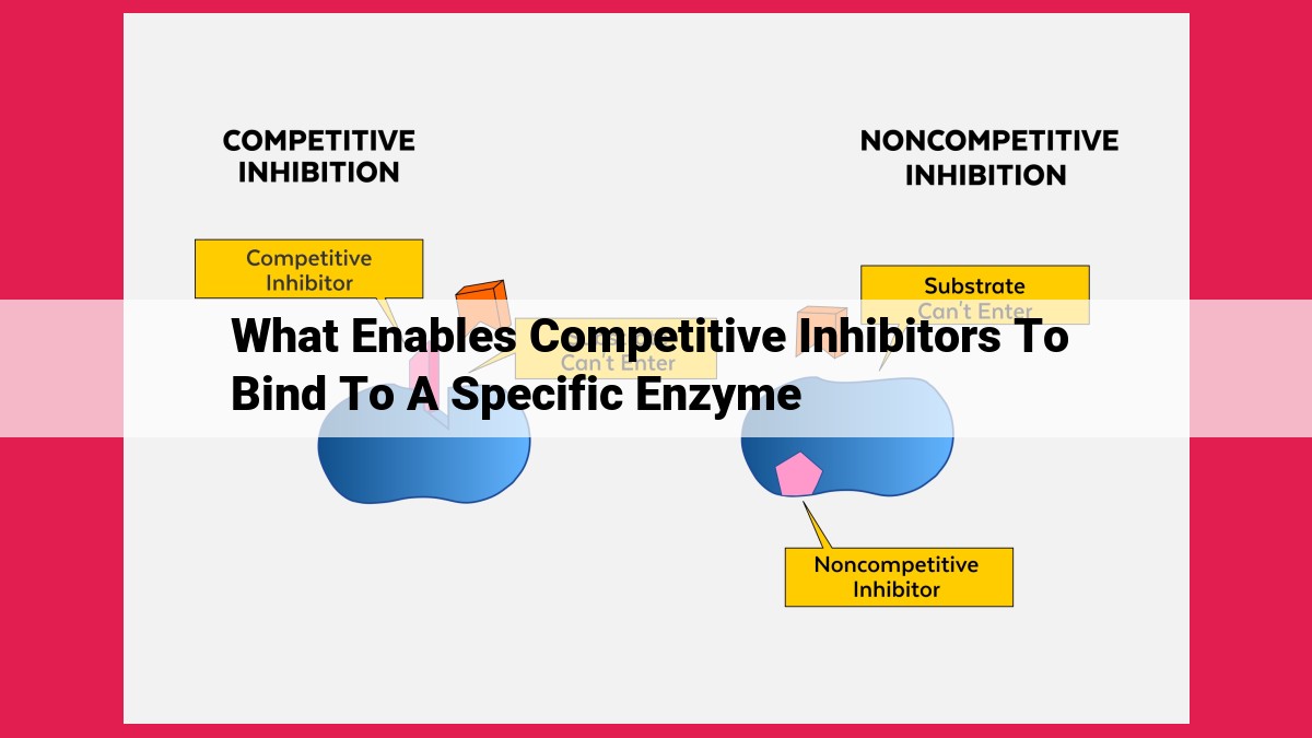 what enables competitive inhibitors to bind to a specific enzyme