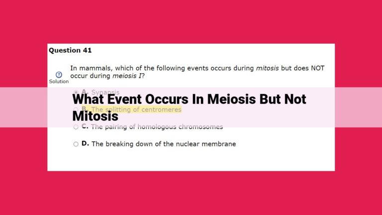 what event occurs in meiosis but not mitosis