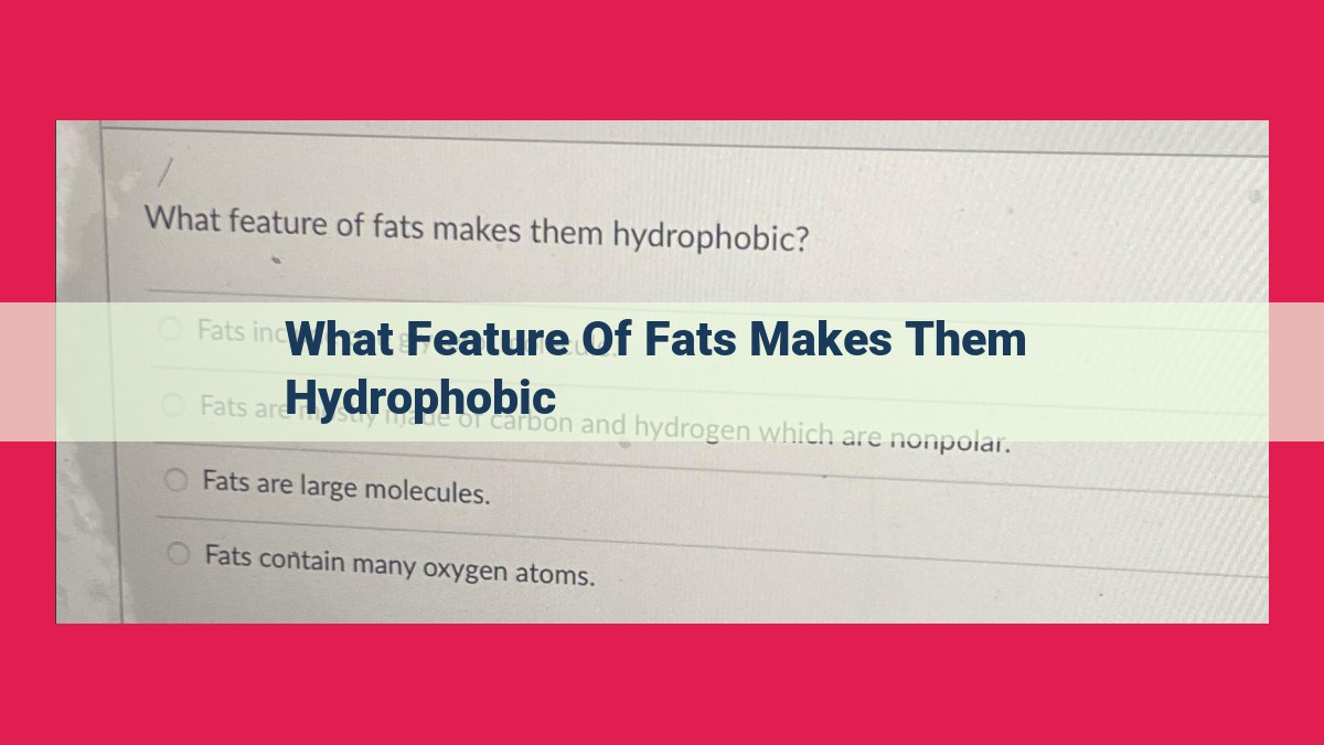 what feature of fats makes them hydrophobic