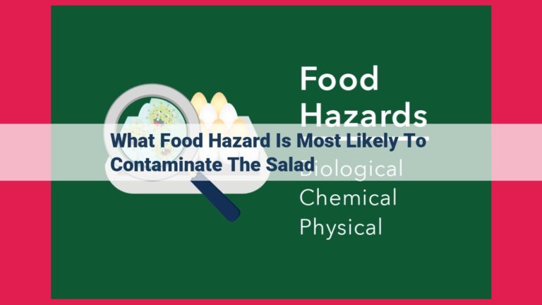 what food hazard is most likely to contaminate the salad