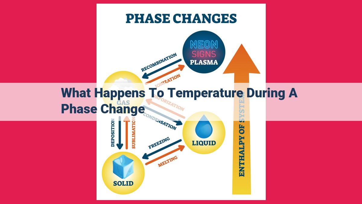 what happens to temperature during a phase change