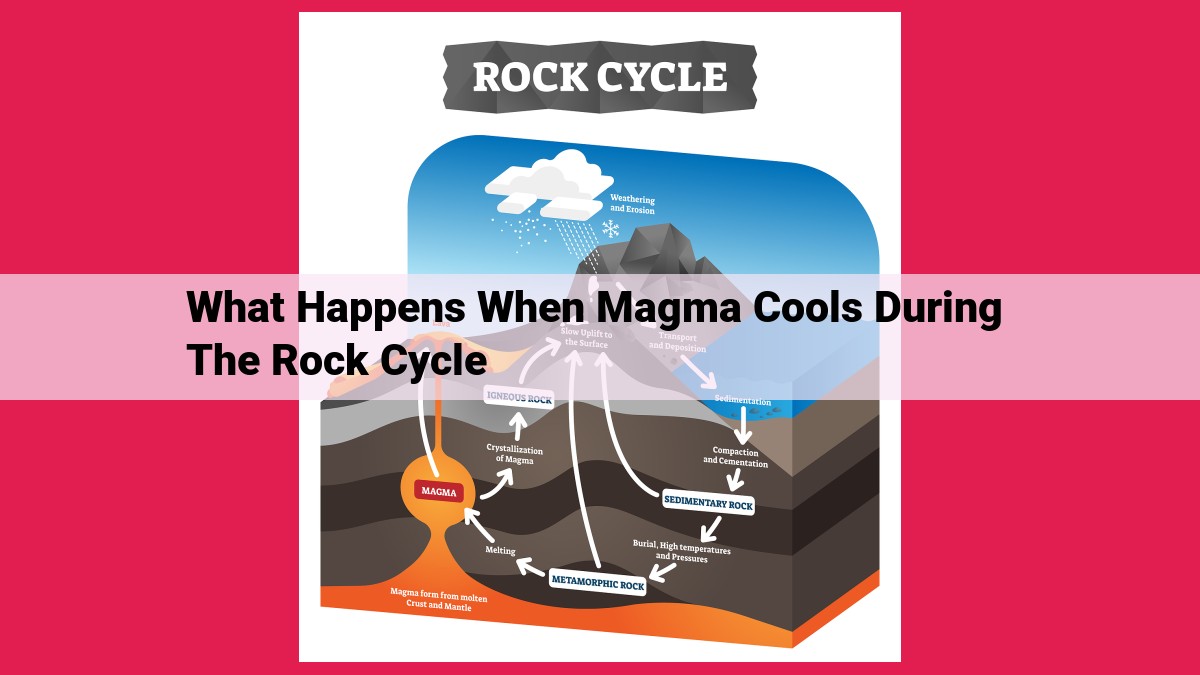 what happens when magma cools during the rock cycle