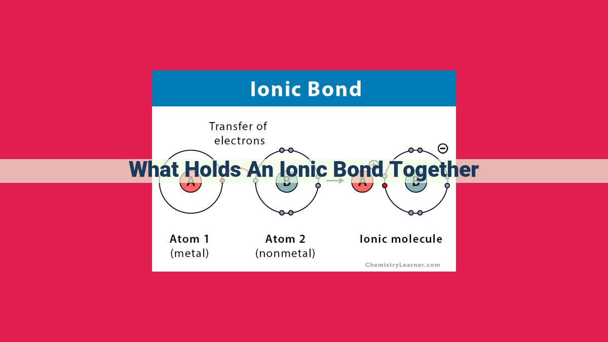 what holds an ionic bond together