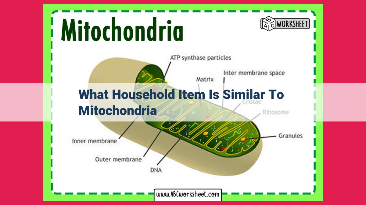 what household item is similar to mitochondria